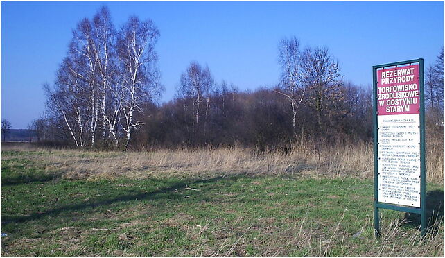 Rezerwat torfowisko żródliskowe 3, Stary Gostyń, Stary Gostyń 63-800 - Zdjęcia