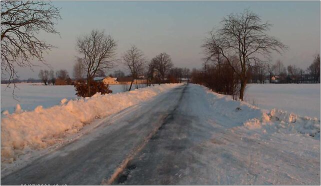 Road in Ciemniewo (Poland), Ciemniewo, Ciemniewo 06-430 - Zdjęcia