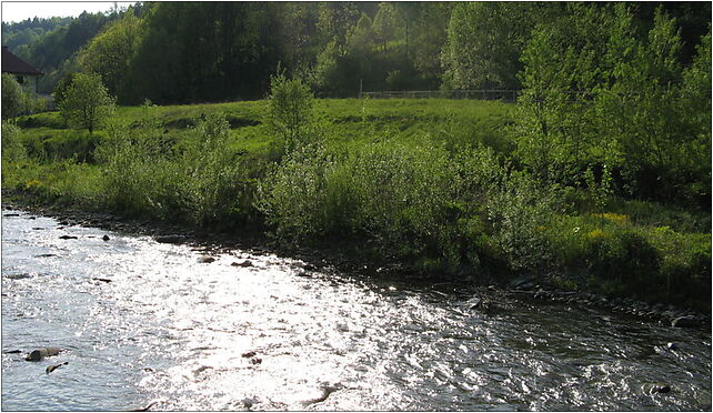 Rzeka skawica, Skawica 448, Skawica 34-221 - Zdjęcia