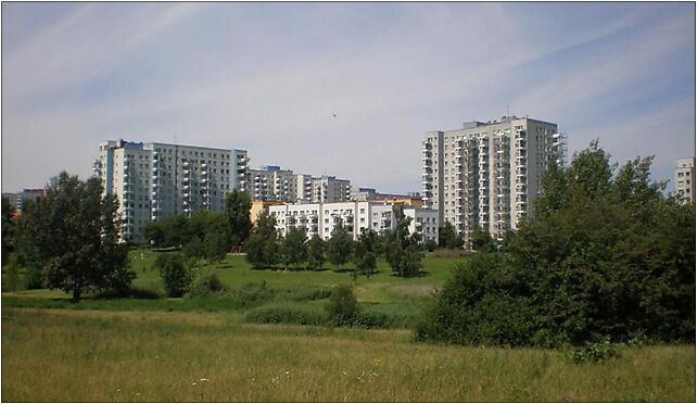Służew nad Dolinką, Tarniny, Warszawa 02-680 - Zdjęcia