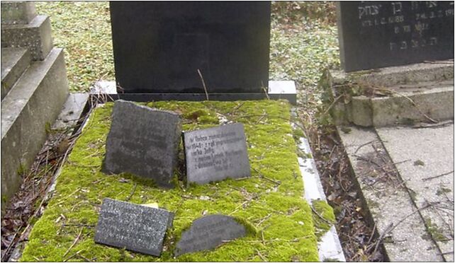 Salomon Wulkan grave, Damrota Konstantego 7b, Bielsko-Biała 43-300 - Zdjęcia