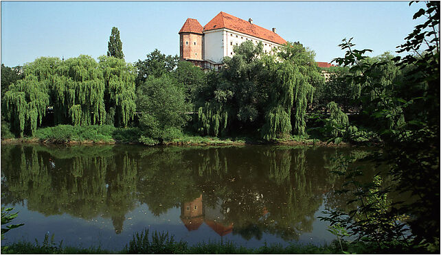 Sandomierz (js), Żeromskiego Stefana, Sandomierz 27-600 - Zdjęcia