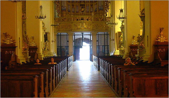Sejny - bazylika wnętrze, św. Agaty, pl. 2, Sejny 16-500 - Zdjęcia