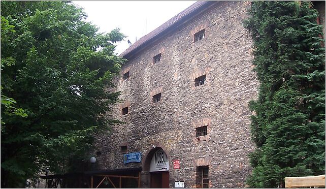 Siemianowice Śląskie-muzeum miejskie, Piastów 3, Katowice 40-866 - Zdjęcia