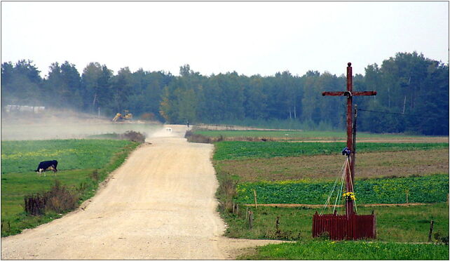 Skibniew Podawce Krzyż, Leśna, Skibniew-Podawce 08-300 - Zdjęcia