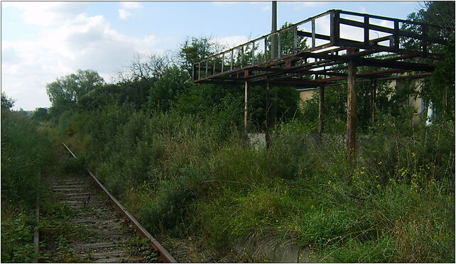 Stacja Gdynia Obłuże1, Śmidowicza J., inż. 33, Gdynia 81-177 - Zdjęcia