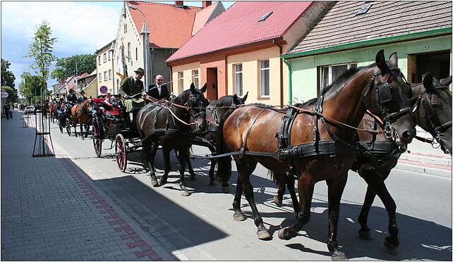 Stado Ogierów w Sierakowie - IMG 3469, Kowalska, Sieraków 64-410 - Zdjęcia
