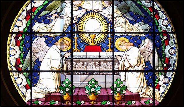 Stained glass in Nysa cathedral, Kościelny, pl. 6, Nysa 48-300 - Zdjęcia