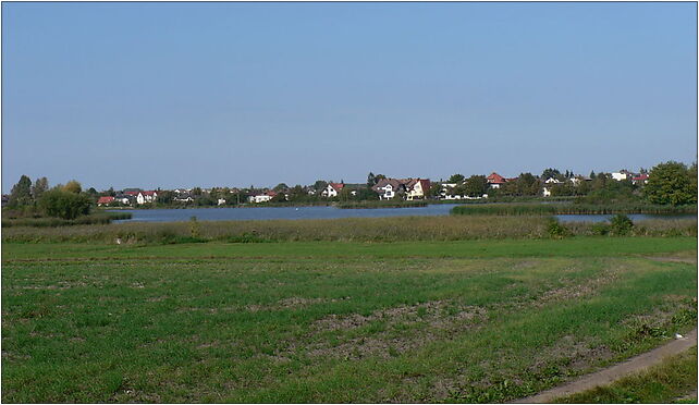 Stawy Raszynskie, Staw Puchalski od poludnia, Krakowska, al. 05-090 - Zdjęcia