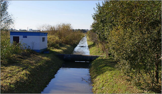 Stramniczka W 2009-10, Bolesława Chrobrego, Kołobrzeg 78-100 - Zdjęcia