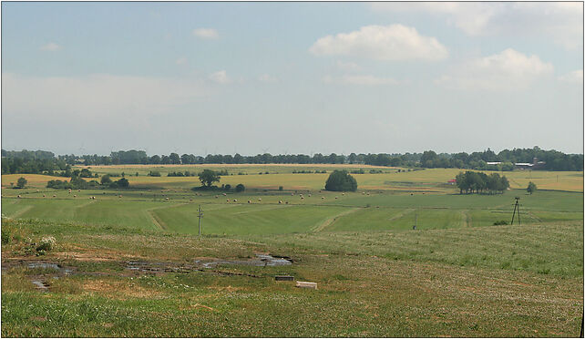 Sulicice - Fields 01, Sulicice 37, Sulicice 84-110 - Zdjęcia