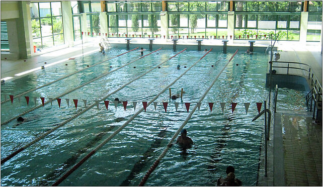 Swimming pool in CKR, Gąsiorowskiego Wacława 12/14 05-510 - Zdjęcia