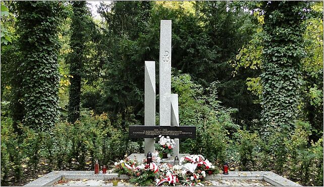 Szczecin Cmentarz Centralny Pomnik Armii Krajowej, Mieszka I od 71-046 do 71-080 - Zdjęcia