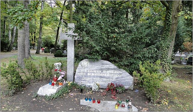 Szczecin Cmentarz Centralny Pomnik Dzieci Nienarodzonych, Szczecin od 71-046 do 71-080 - Zdjęcia