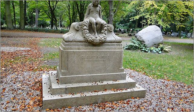 Szczecin Cmentarz Centralny nagrobek Augusta Ahrensa, Mieszka I od 71-046 do 71-080 - Zdjęcia