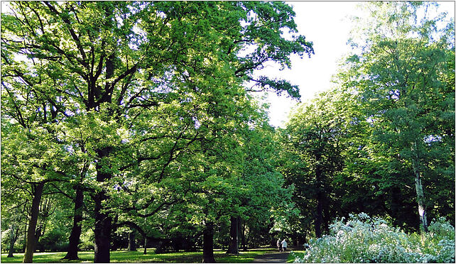 Szczecin Park Zeromskiego (1) , Kapitańska, Szczecin 71-602 - Zdjęcia