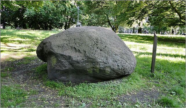 Szczecin Park Zeromskiego glaz narzutowy Adam pomnik przyrody 71-602 - Zdjęcia