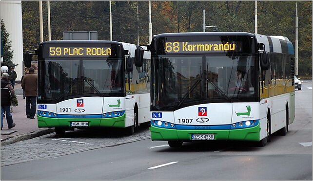 Szczecin - Solarisy Urbino 12, Rodła, pl.115 11, Szczecin 70-419 - Zdjęcia