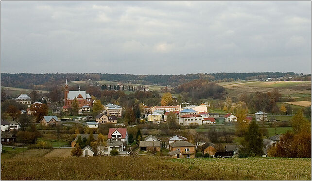 Szerzyny 01, Maślaki, Maślaki 38-246 - Zdjęcia