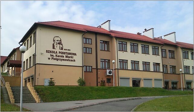 Szkoła Podstawowa w Pielgrzymowicach, Powstańców 6 43-253 - Zdjęcia