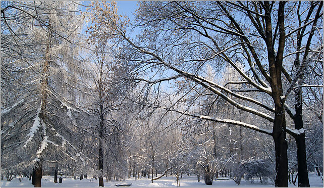 Szwedzki Park, winter,os. Szklane Domy,Nowa Huta,Krakow,Poland od 31-752 do 31-974 - Zdjęcia