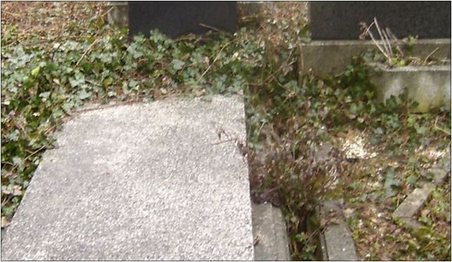 Szymon Wulkan grave, Damrota Konstantego 7b, Bielsko-Biała 43-300 - Zdjęcia