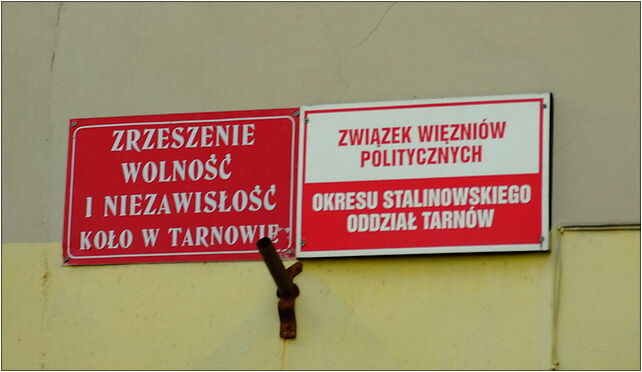 Tarnów, centrum města, tabule připomínající politické vězně 33-100 - Zdjęcia