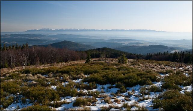 Tatry z Hali Krupowej, Krupowa Hala - Zdjęcia