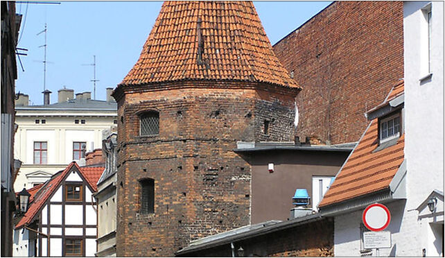 Torun baszta Mostrancja, Staromiejski Rynek 35, Toruń 87-100 - Zdjęcia