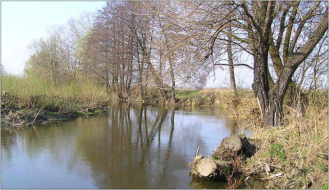 Trawniki lubelskie rzeka Wieprz, Podchorążych, Dęblin 08-530 - Zdjęcia