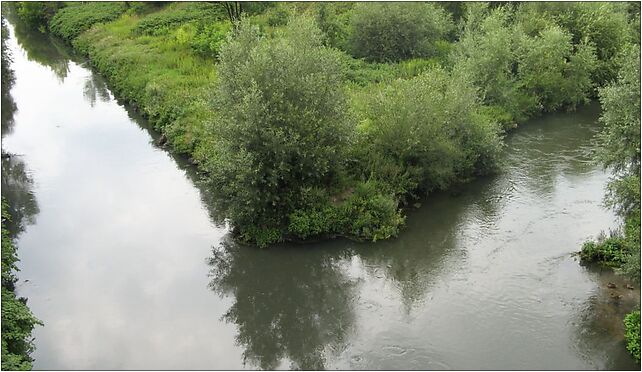 Trojkat trzech cesarzy, Orląt Lwowskich, Sosnowiec 41-208 - Zdjęcia