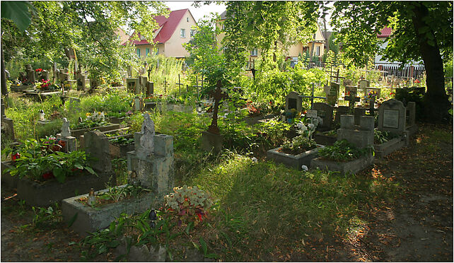 Trzcianka - Old cemetery 02, Skargi Piotra, ks. 17, Trzcianka 64-980 - Zdjęcia