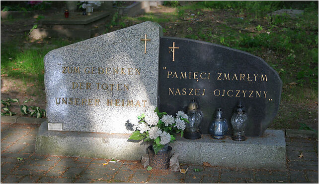 Trzcianka - Old cemetery 06, Skargi Piotra, ks. 17, Trzcianka 64-980 - Zdjęcia
