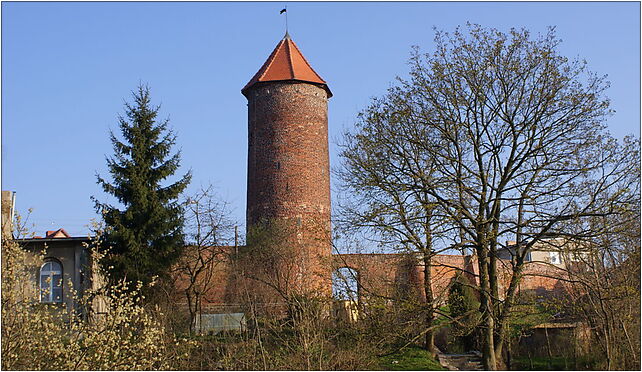 Trzebiatow Baszta Kaszana bulwark 2009-04, Lipowy, pl. 14 72-320 - Zdjęcia