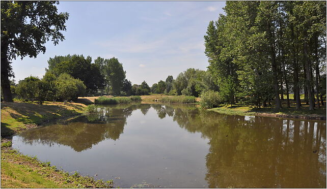 Trzebiatow St. George's Pond 2010-07, Kilińskiego Jana 72-320 - Zdjęcia