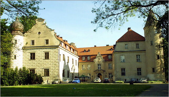 Tucznoz, Wolności177, Martwica 78-640 - Zdjęcia