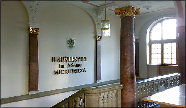 UAM Poznan hall, Wieniawskiego Henryka 1, Poznań 61-712 - Zdjęcia