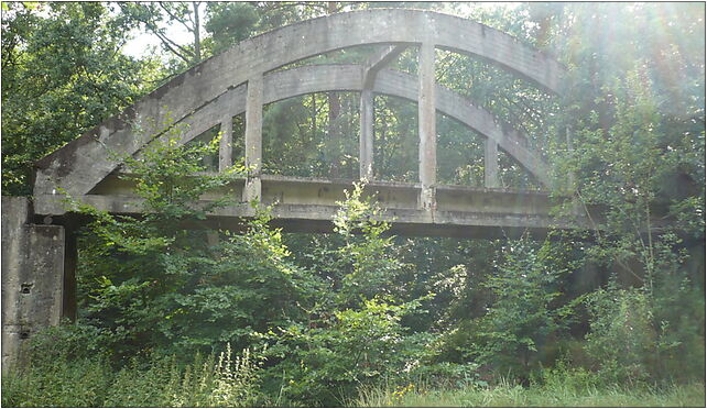 Uroczysko Mosty, Głucha, Szczecin 70-710 - Zdjęcia