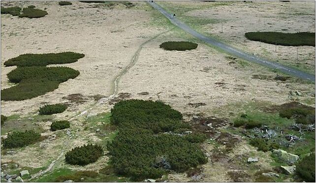 Vysoka plan, Piechowice - Zdjęcia