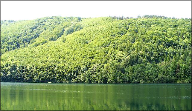 Wapienica (rzeka)-zbiornik Wielka Laka, Zapora, Bielsko-Biała 43-382 - Zdjęcia