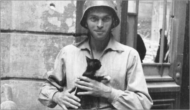 Warsaw Uprising by Lokajski - Eugeniusz Lokajski with cat, Jasna 7 00-007 - Zdjęcia