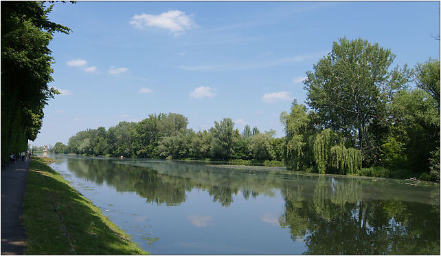 Warsaw Wilanow Palace park, Kolegiacka, Warszawa 02-960 - Zdjęcia