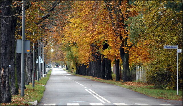 Warszów - Barlickiego, Artyleryjska, Świnoujście 72-602 - Zdjęcia