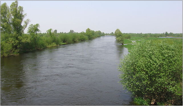 Warta w Warcie, Włoska, Kostrzyn nad Odrą - Zdjęcia