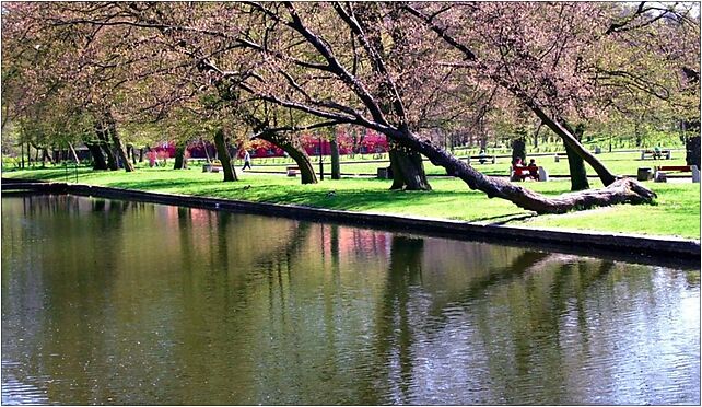 Wejehrowo park, Śmiechowska 32, Wejherowo 84-200 - Zdjęcia
