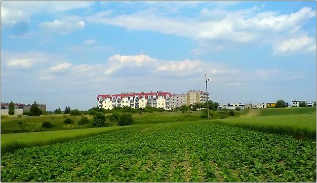 Widok na górna, Kolejowa 31, Gostyń 63-800 - Zdjęcia