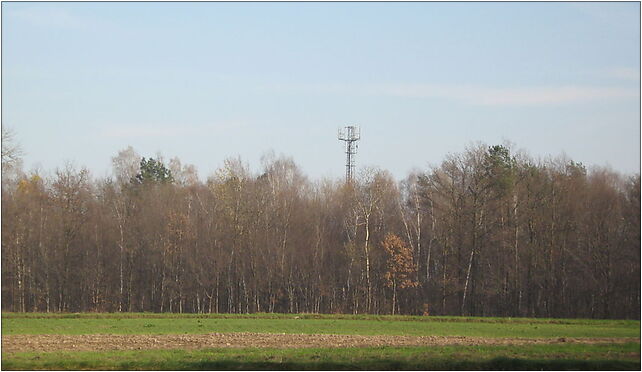 Wieża komórkowa w Osinie, Niedziałowice Pierwsze 22-360 - Zdjęcia