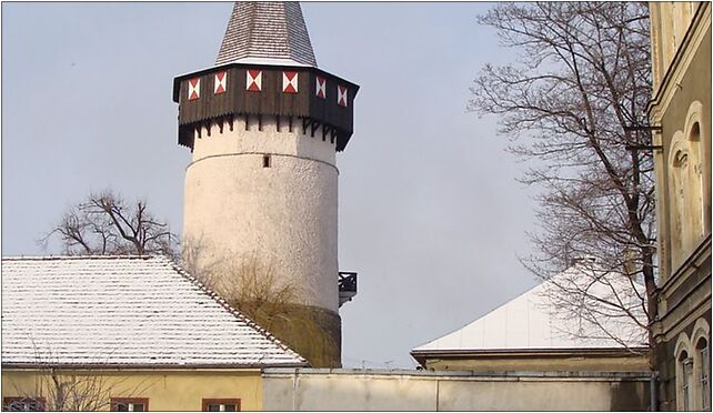 Wieza Woka Prudnik2, Armii Krajowej40 4, Prudnik 48-200 - Zdjęcia
