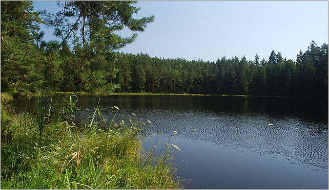 Wigierski suchary 1, Krzywe, Krzywe 16-402 - Zdjęcia