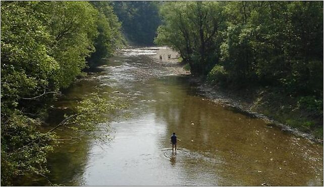 Wisłok w Pastwiska (woj podkarpackie), Pastwiska Zdjęcia